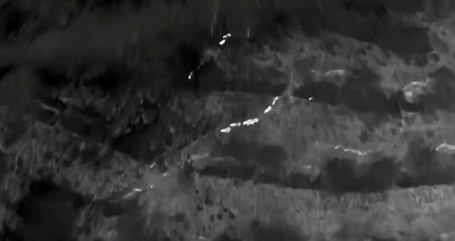 云南“6头野猪从天而降”<strong></p>
<p>币圈大空翼</strong>?实为被猎捕时跳崖 对话野猪“赏金猎人”:干这行不赚钱