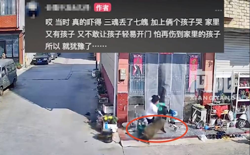 不是上海<strong></p>
<p>币风港</strong>!不是上海!不是上海!最新:已被特警击毙