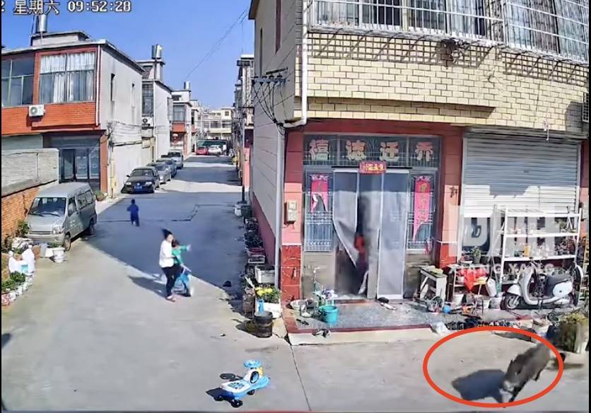 不是上海<strong></p>
<p>币风港</strong>!不是上海!不是上海!最新:已被特警击毙