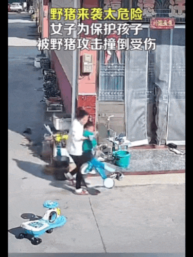 不是上海<strong></p>
<p>币风港</strong>!不是上海!不是上海!最新:已被特警击毙