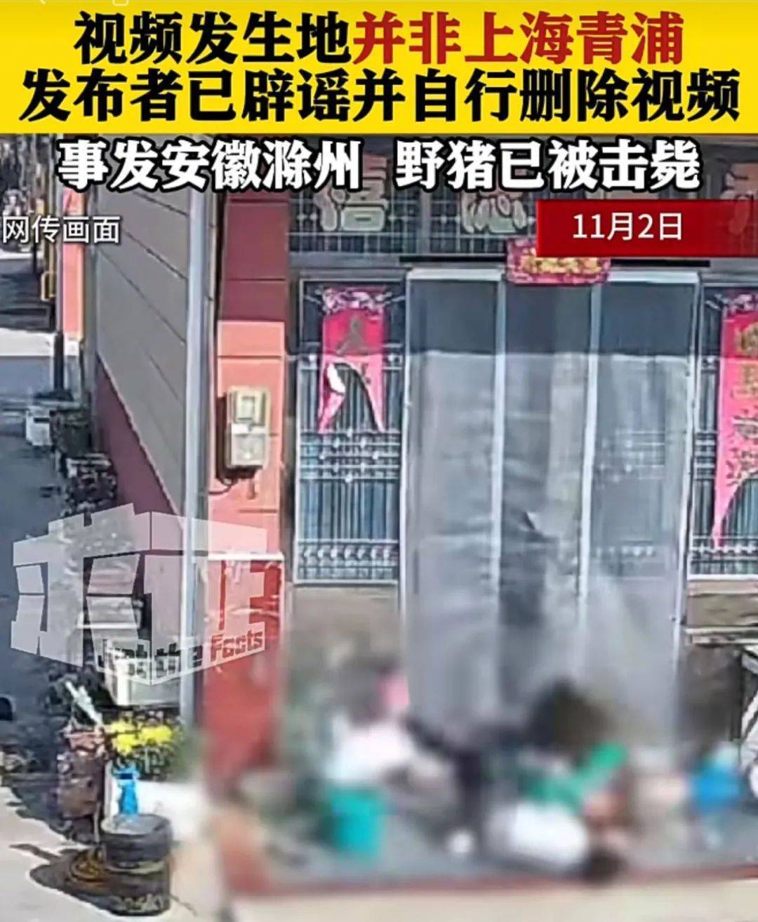 不是上海<strong></p>
<p>币风港</strong>!不是上海!不是上海!最新:已被特警击毙