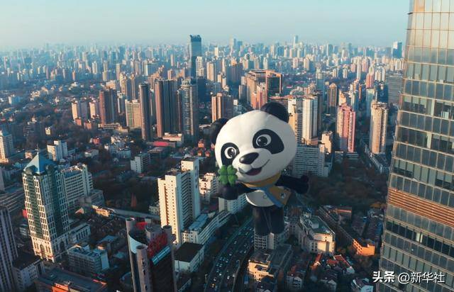 微视频|合作共赢 惠及世界