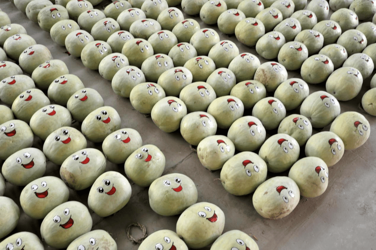 “含糖量”极高<strong></p>
<p>初链币</strong>！解锁“北方水果公园”山西万荣的甜蜜