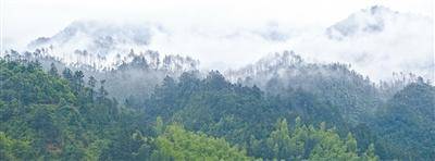 频频“肇事”<strong></p>
<p>etf币</strong>,野猪种群如何调控?