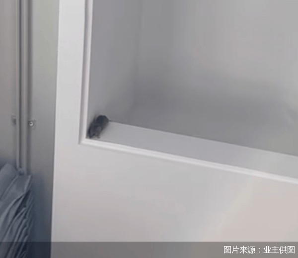 老鼠乱窜、直饮水发黄<strong></p>
<p>链币网</strong>，北京业主千万元买的和锦诚园居然是这样