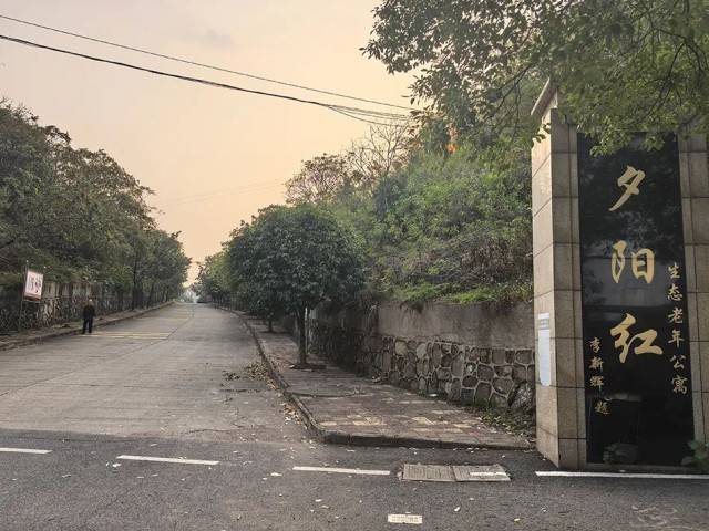 夕阳红公寓爆雷:一场疯狂的庞氏骗局走向崩塌