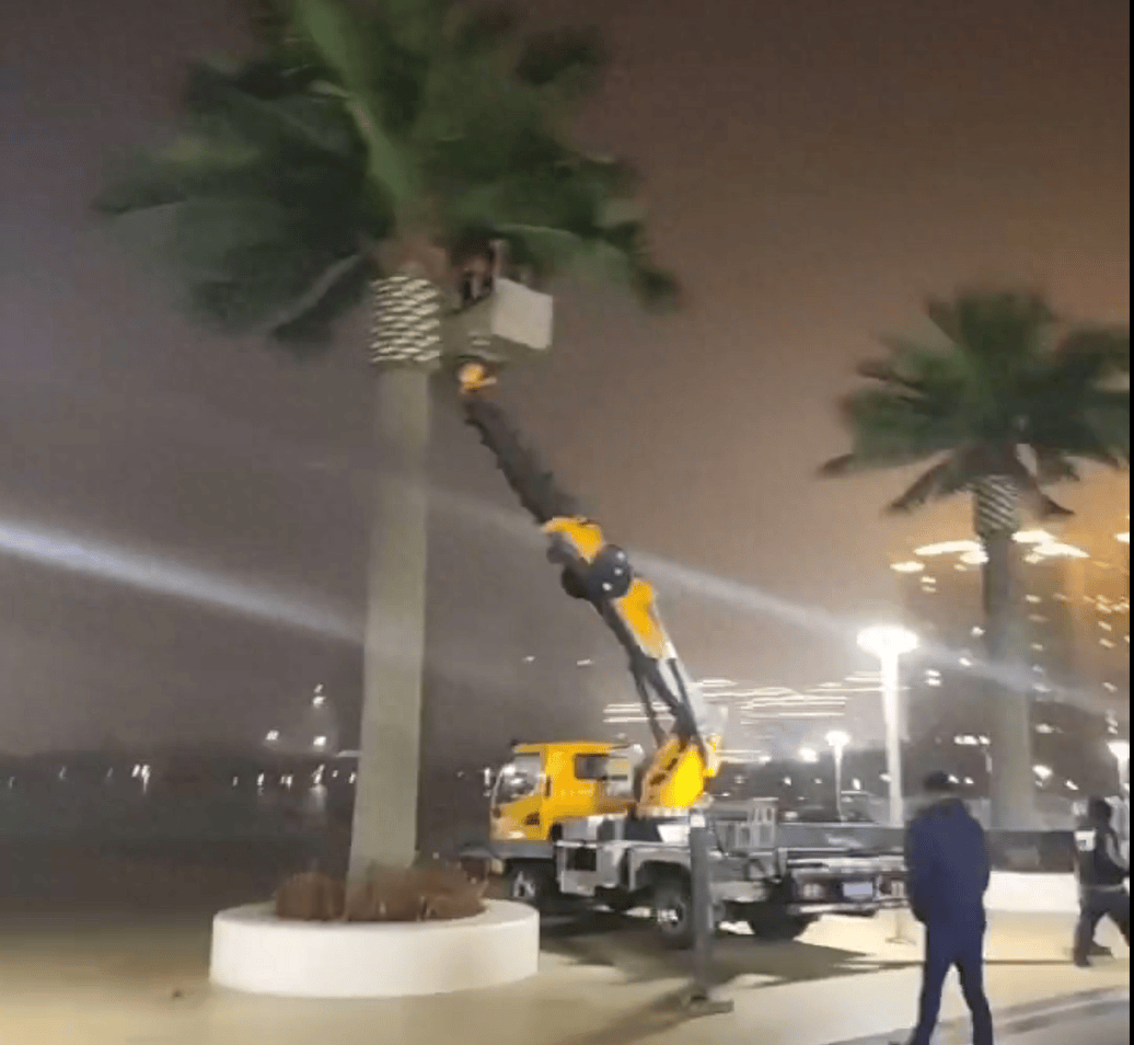 县政府门前广场花1305万建设仿真椰子树、雕塑等<strong></p>
<p>上币精品网</strong>,中央点名通报后,仿真椰子树连夜拆除