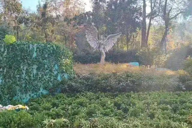 李玟武汉墓地杂草丛生<strong></p>
<p>币圈代投</strong>？其姐姐发文回应