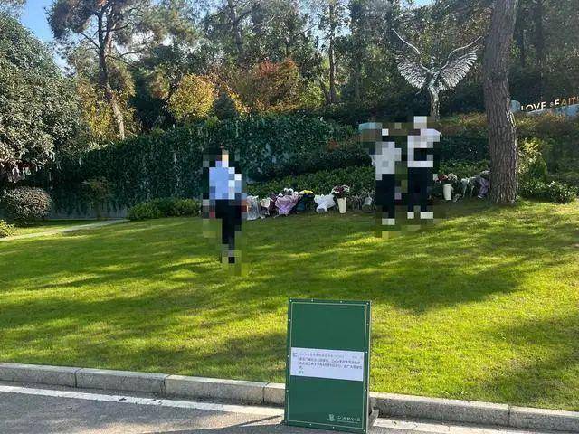 李玟武汉墓地杂草丛生<strong></p>
<p>币圈代投</strong>？其姐姐发文回应