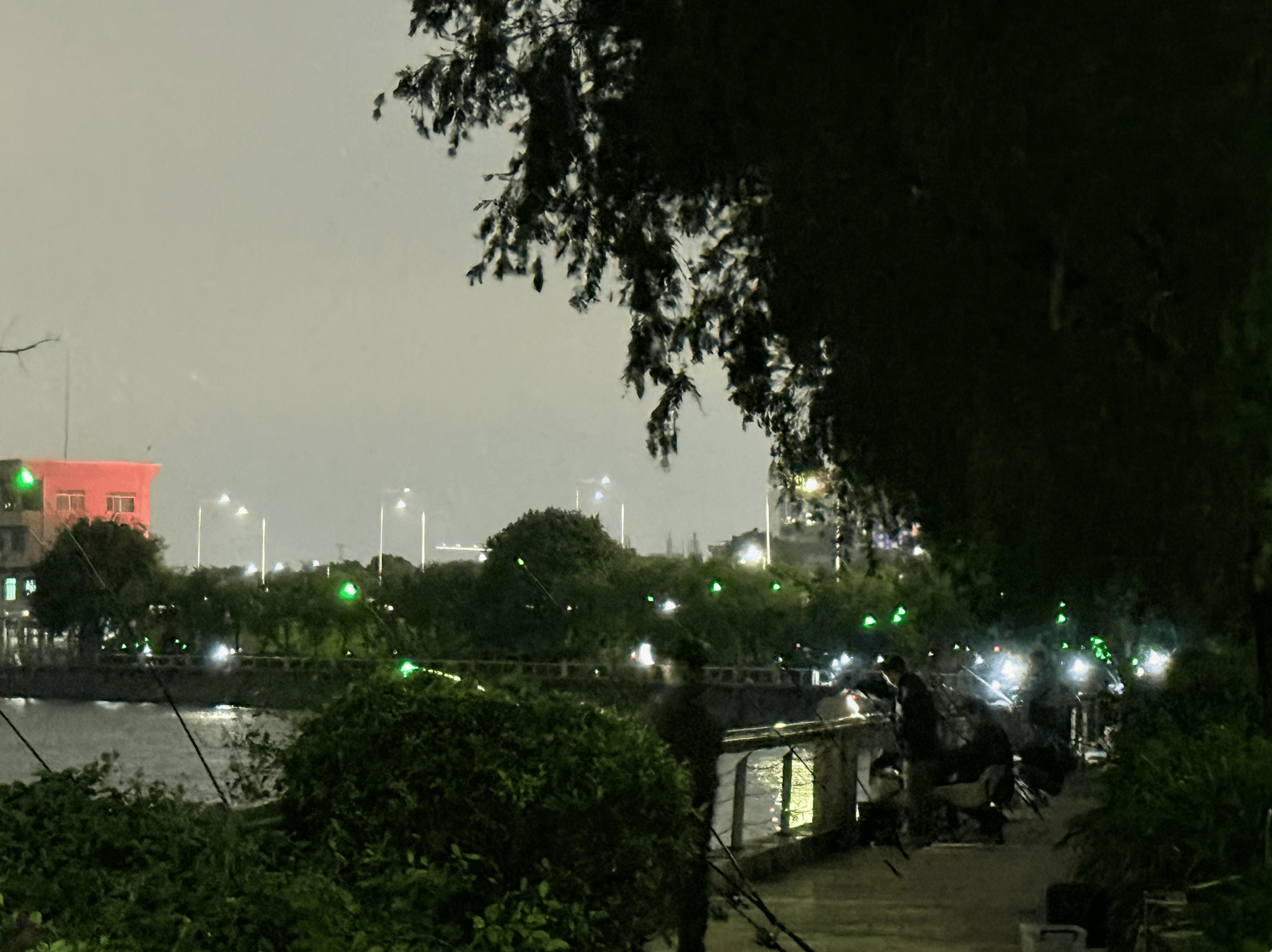 一晚收获40只<strong></p>
<p>炒币软件有</strong>？东莞东江边“蟹张力”拉满｜莞有料