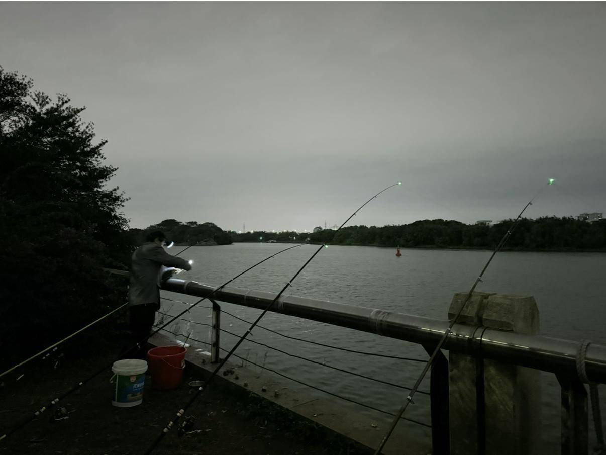 一晚收获40只<strong></p>
<p>炒币软件有</strong>？东莞东江边“蟹张力”拉满｜莞有料