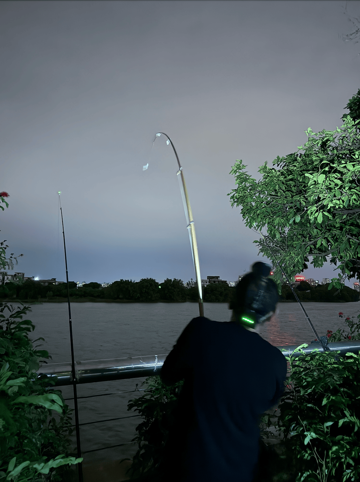 一晚收获40只<strong></p>
<p>炒币软件有</strong>？东莞东江边“蟹张力”拉满｜莞有料