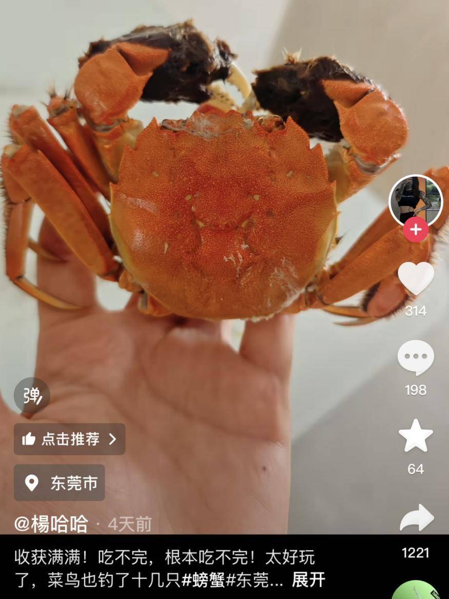 一晚收获40只<strong></p>
<p>炒币软件有</strong>？东莞东江边“蟹张力”拉满｜莞有料