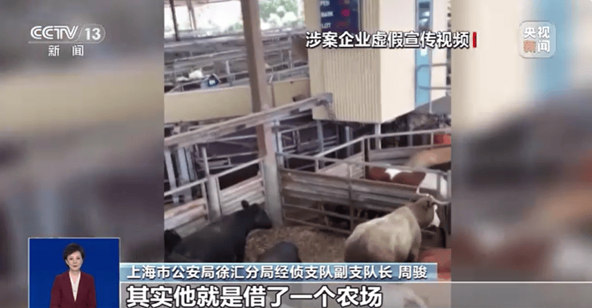 300万元变6万斤牛肉<strong></p>
<p>币圈论坛社区</strong>,吃不到也卖不了,什么情况?