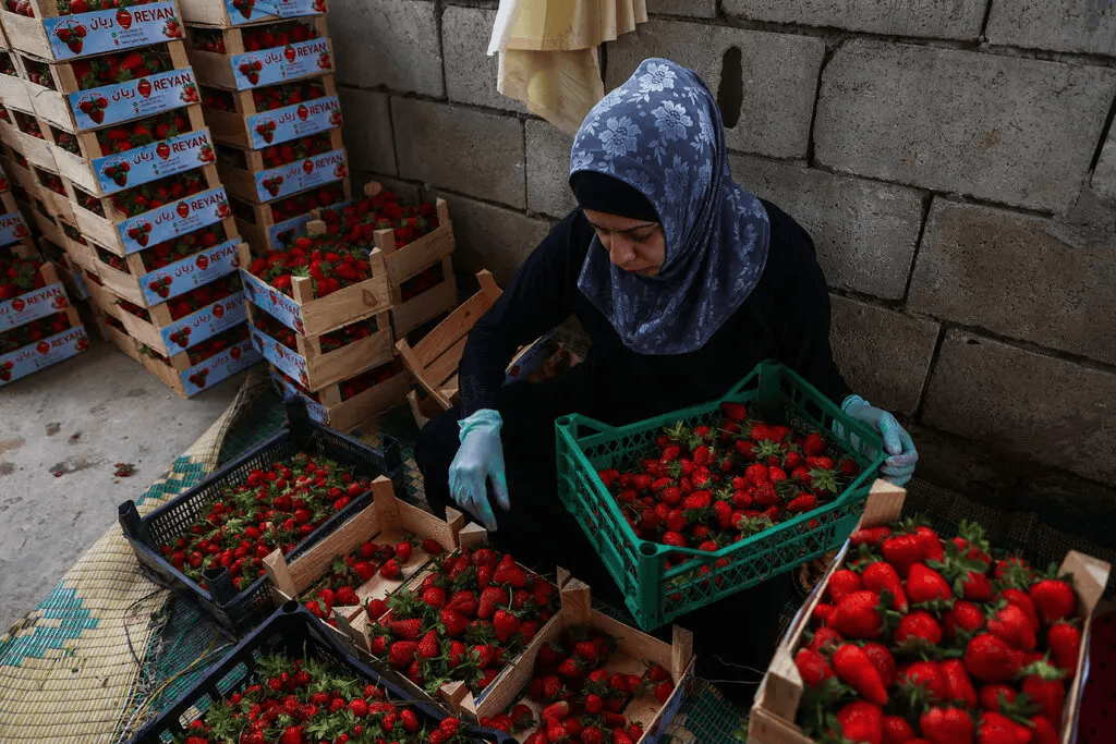 叙利亚战火持续<strong></p>
<p>bg币</strong>，攻下阿勒颇的反对派武装到底什么来头？在下一盘什么棋？