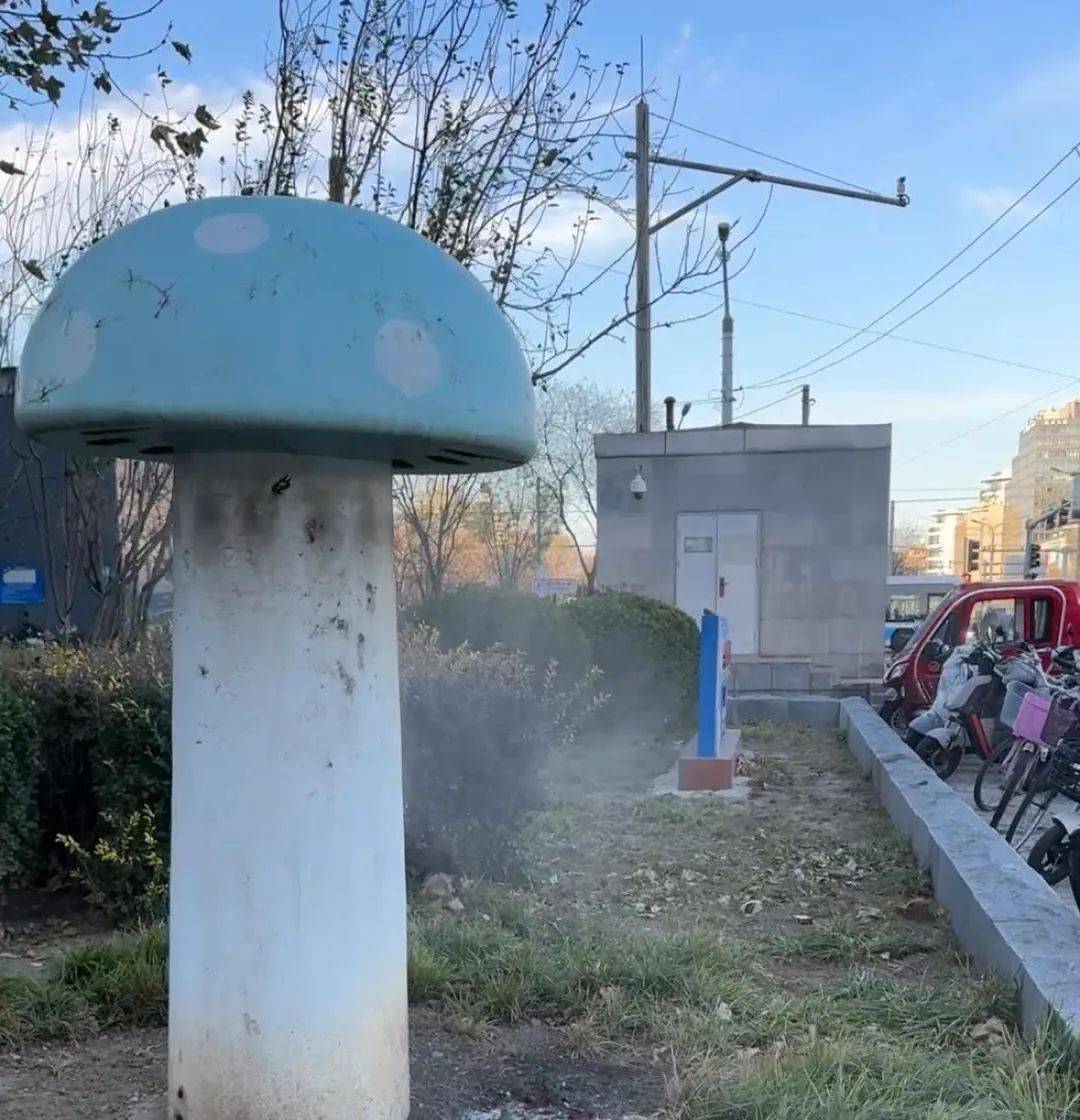 北京街头2米高神秘“蘑菇”<strong></p>
<p>币圈整顿</strong>,你见过吗?网友大胆猜想……