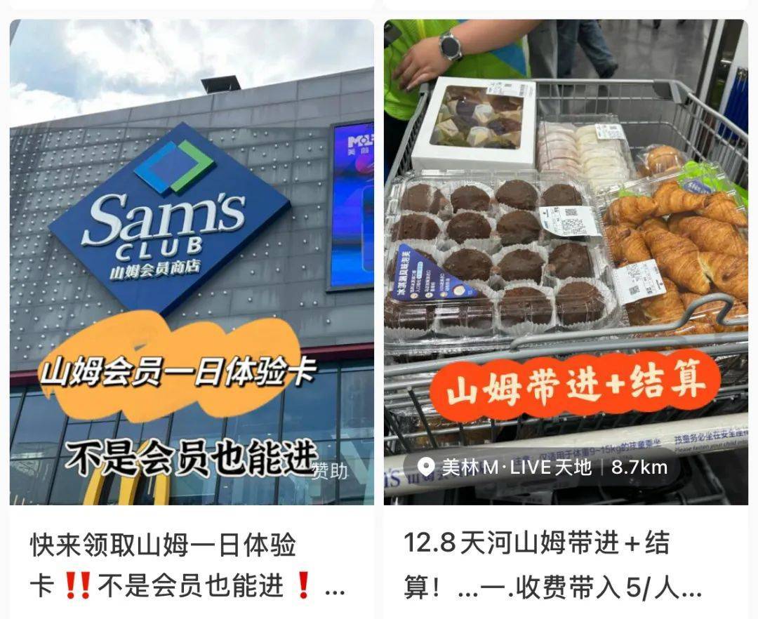 山姆突然被曝<strong></p>
<p>炒币破产</strong>！网友热议！广州、深圳情况是……