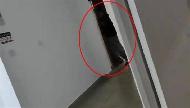 上海一高校男生晚上撞开女生寝室门<strong></p>
<p>扣币</strong>,校方:醉酒后走错了