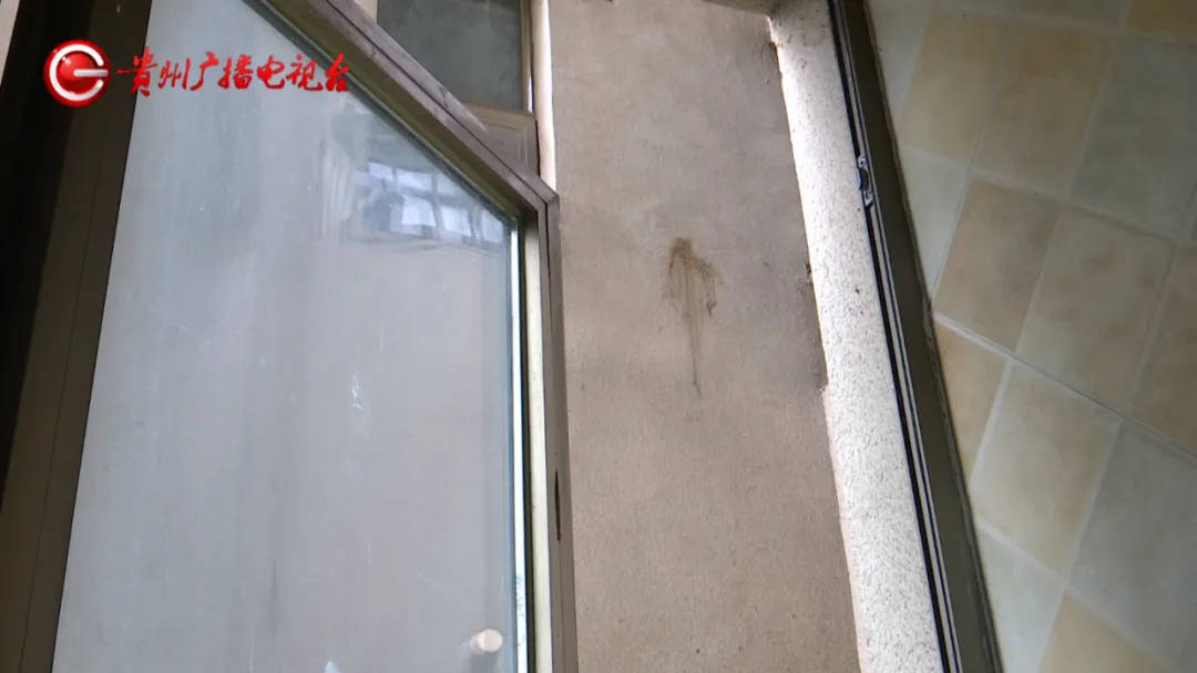 恶心坏了!贵阳一女子家中被扔进一颗“炸弹”<strong></p>
<p>各种币圈</strong>,残羹剩饭炸开花