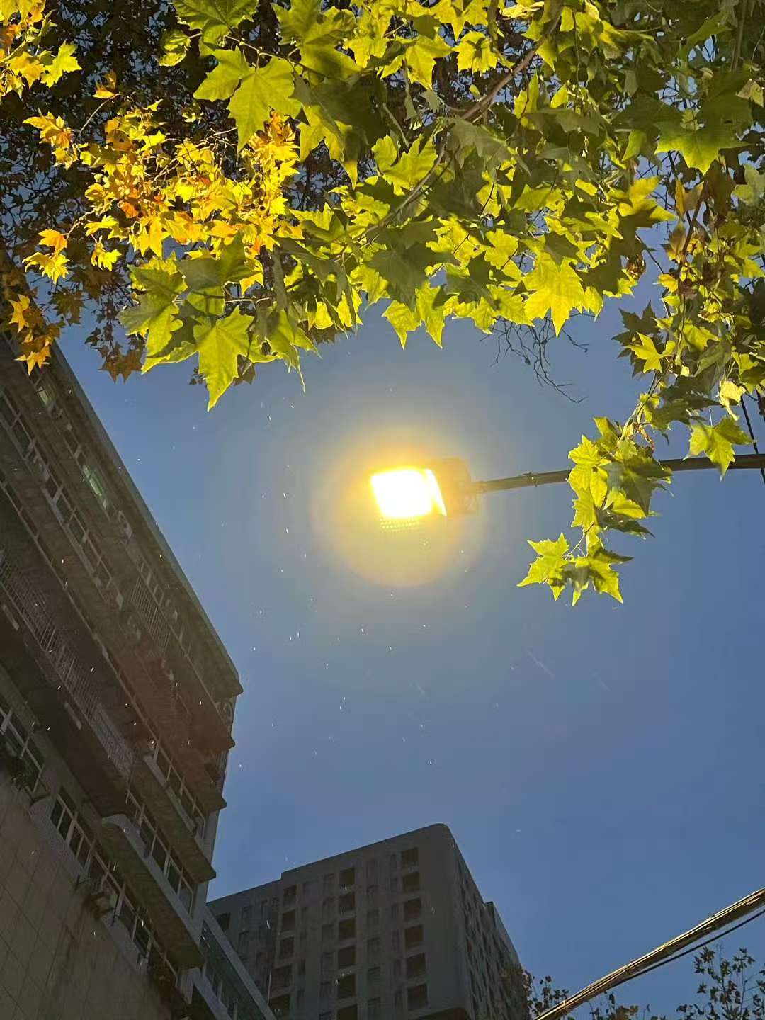 刚刚<strong></p>
<p>各种币圈</strong>,武汉下雪了!最低气温-2℃,出门注意保暖