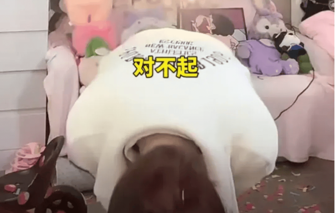 吴柳芳再被罚<strong></p>
<p>鲸鱼币</strong>!粉丝数从600多万暴降到4万!