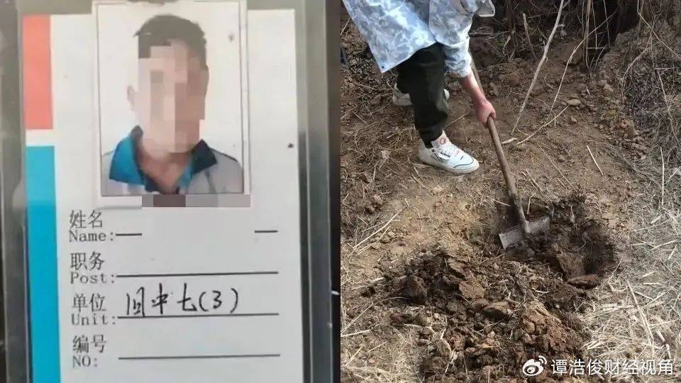 小恶魔被判无期<strong></p>
<p>wfee币</strong>，为何网友仍不满意？