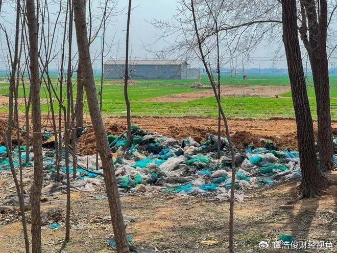 小恶魔被判无期<strong></p>
<p>wfee币</strong>，为何网友仍不满意？