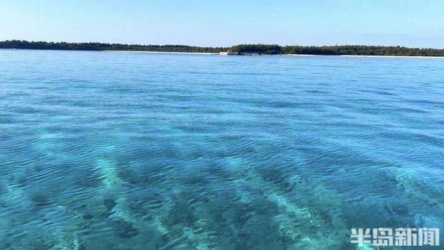 青岛女子买下70万平米小岛后续来了：目前没打算私有<strong></p>
<p>合约币走势</strong>，七八月份将带员工到岛上团建