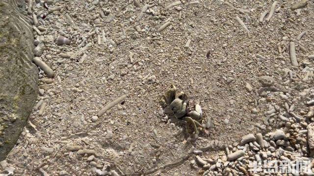 青岛女子买下70万平米小岛后续来了：目前没打算私有<strong></p>
<p>合约币走势</strong>，七八月份将带员工到岛上团建