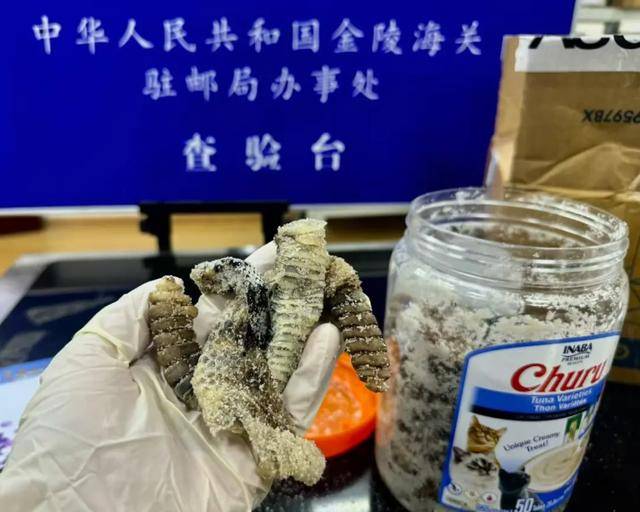 离谱!2.4斤生腌响尾蛇<strong></p>
<p>炒游戏币</strong>,被藏在零食罐里……