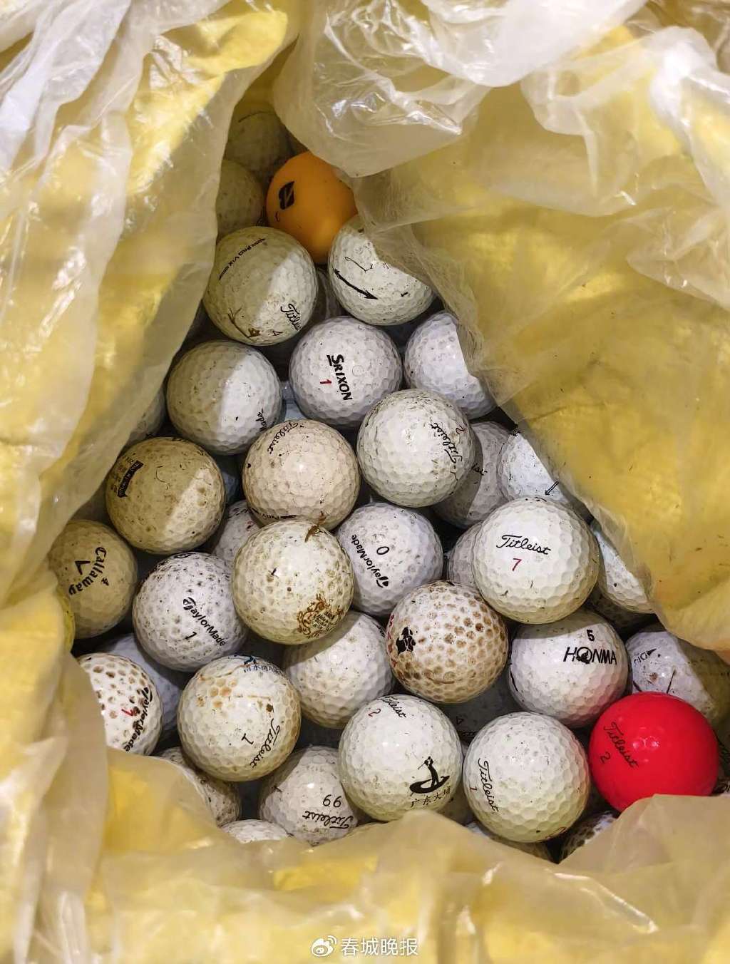 3人穿潜水服偷捞高尔夫球<strong></p>
<p>炒币必备书籍</strong>，警方用时4小时人赃并获