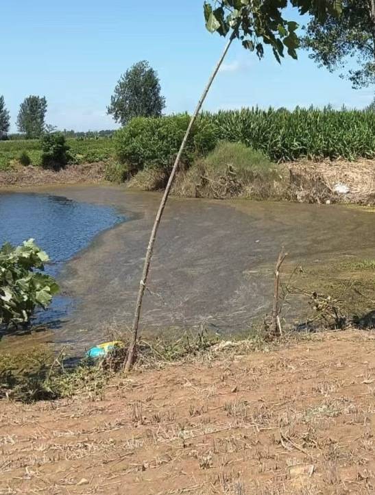 “女生遭侵犯落水被阻挡上岸至溺亡”案续：检方提起抗诉<strong></p>
<p>兔兔币</strong>，建议死刑