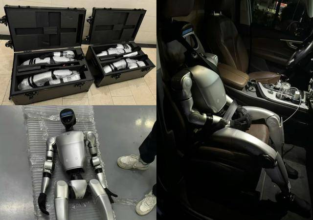 售价10万~65万<strong></p>
<p>币圈94</strong>，销售一空！谁在抢购人形机器人