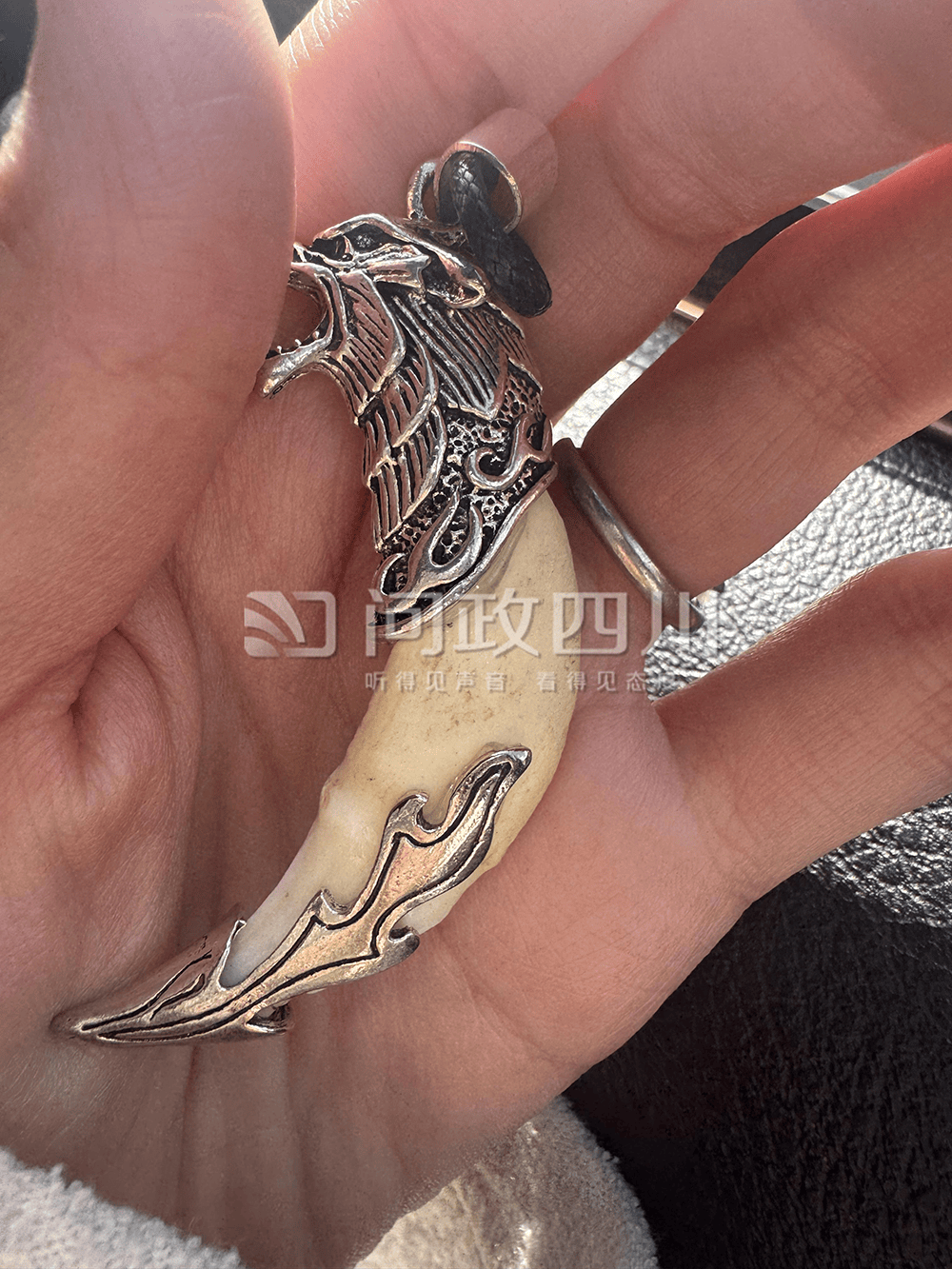 游客称购两颗狼牙实为狗牙<strong></p>
<p>币圈94</strong>,律师:买卖真狼牙涉违法,卖假狼牙涉欺诈