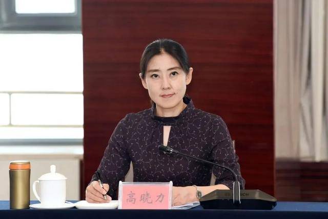 高晓力<strong></p>
<p>yenten币</strong>,晋升副部