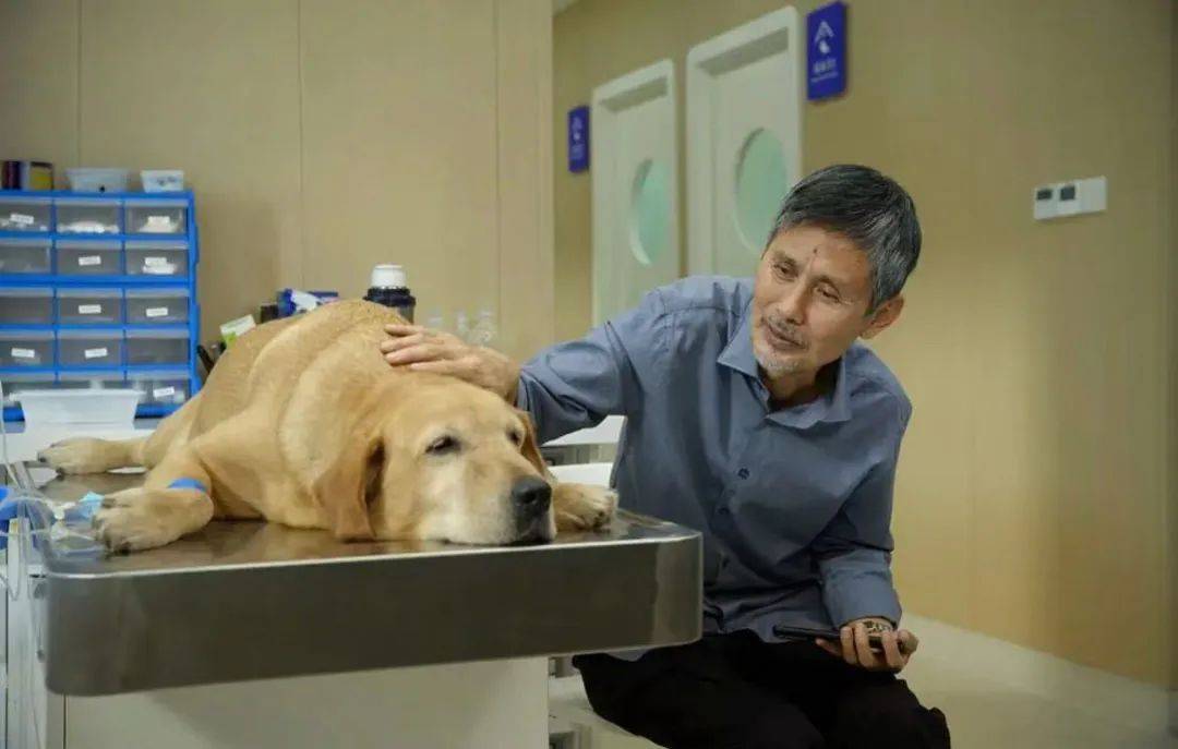 3000万只宠物的养老<strong></p>
<p>马兰币价格</strong>,难倒了年轻人