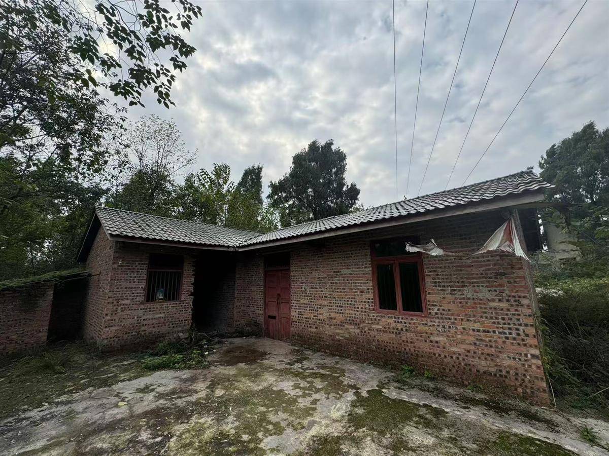 余华英被执行死刑<strong></p>
<p>上币保证金</strong>，户籍地村民听闻后：执行得好