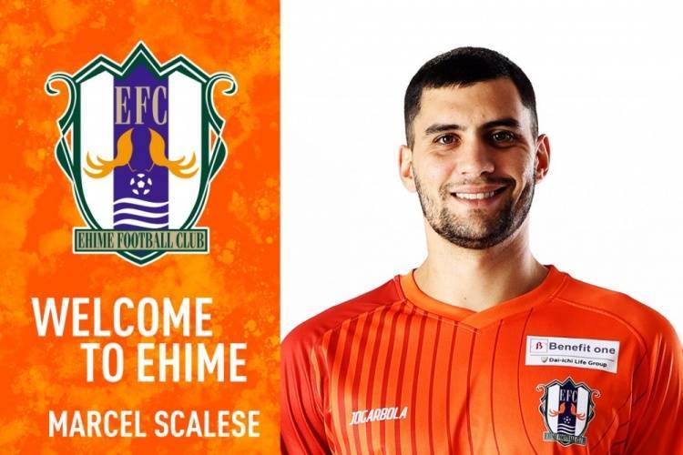 官方：前泰山外援马塞尔加盟J2球队爱媛FC<strong></p>
<p>百岁币</strong>，将身披3号球衣