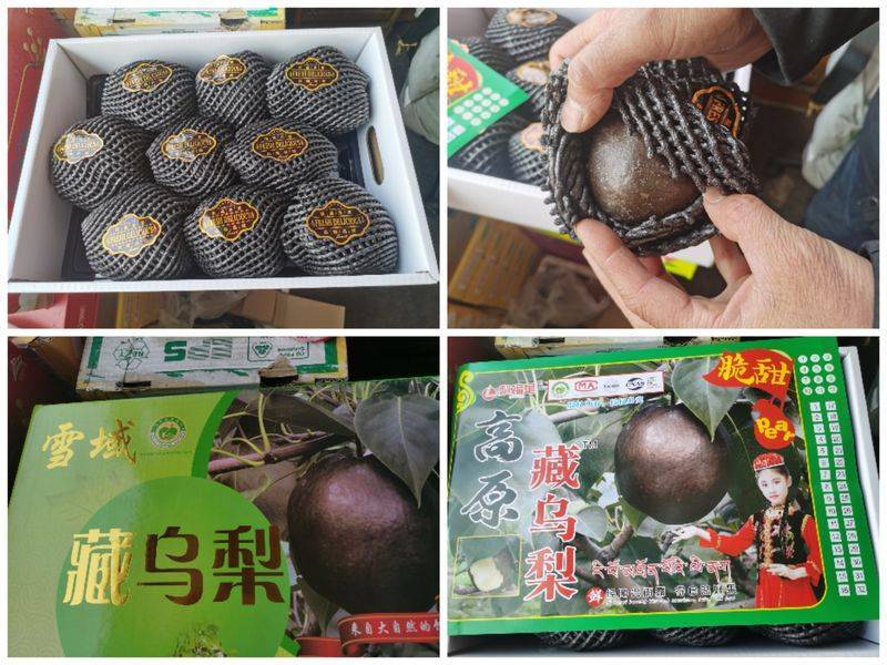 起底“藏乌梨”骗局：虚构的高原特产<strong></p>
<p>币圈生存指南</strong>，普通梨高温加工而成