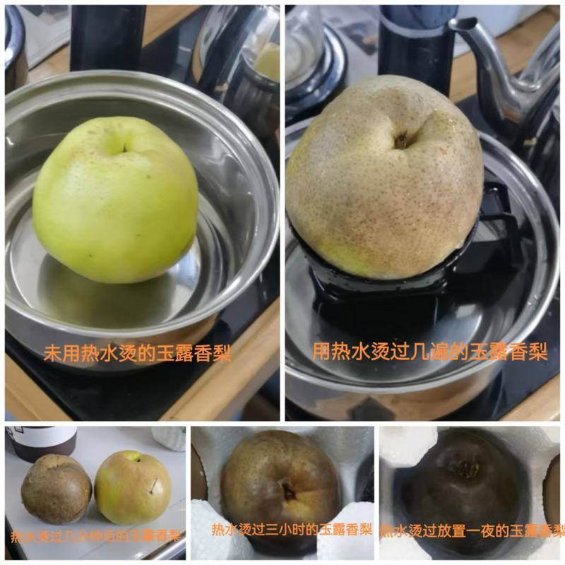 起底“藏乌梨”骗局：虚构的高原特产<strong></p>
<p>币圈生存指南</strong>，普通梨高温加工而成