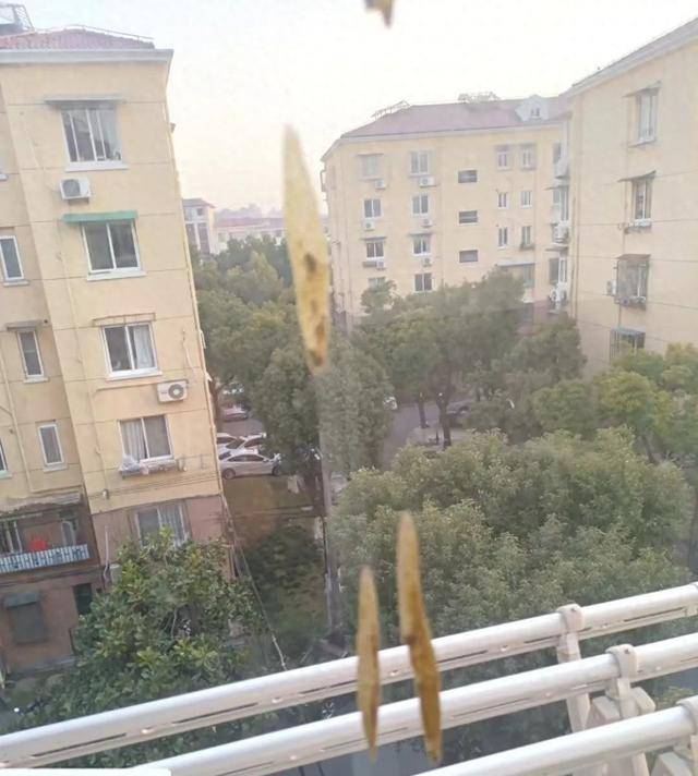 热闻|孩子从楼上抛下湿纸团<strong></p>
<p>弱打币</strong>,家长赔了7000元!高空抛物应承担哪些法律责任?