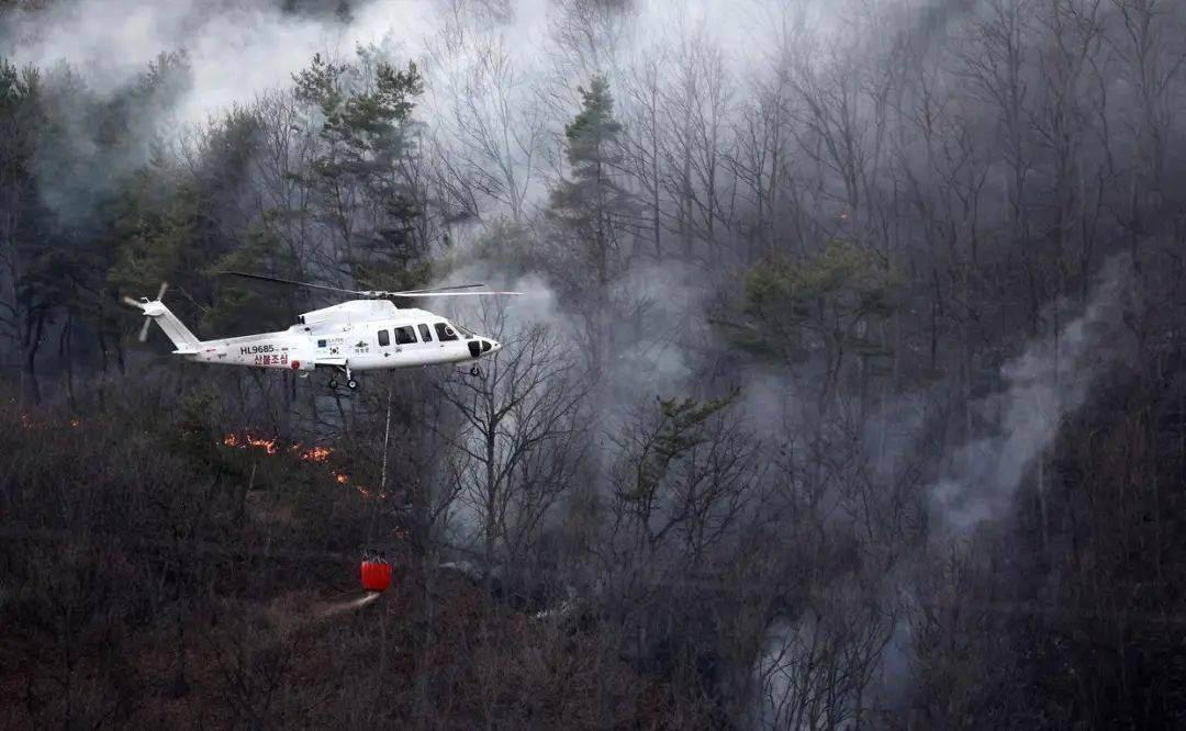 已致4名消防员遇难<strong></p>
<p>币果</strong>！多地进入“灾难状态”