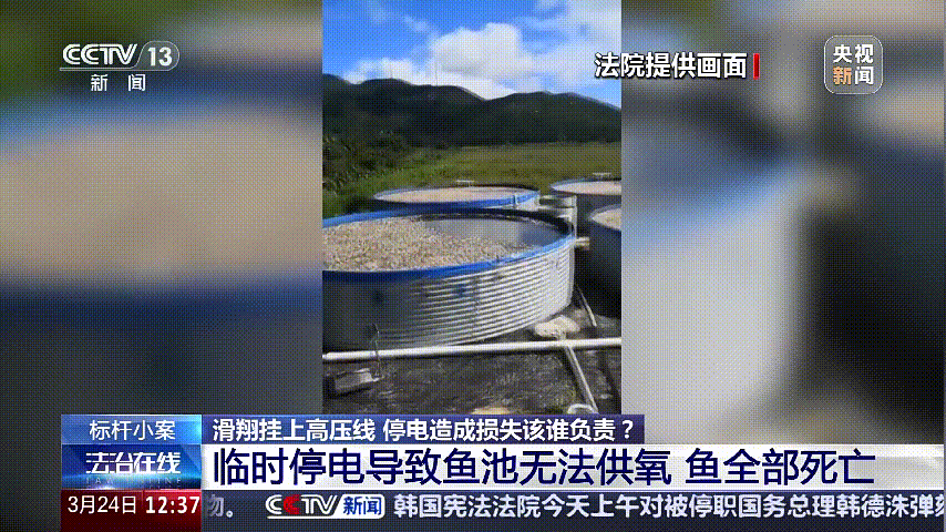 深圳女子被挂高压线!停电救援<strong></p>
<p>烙印币</strong>,9池鱼死光!他怒上法庭……