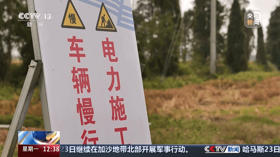 深圳女子被挂高压线!停电救援<strong></p>
<p>烙印币</strong>,9池鱼死光!他怒上法庭……