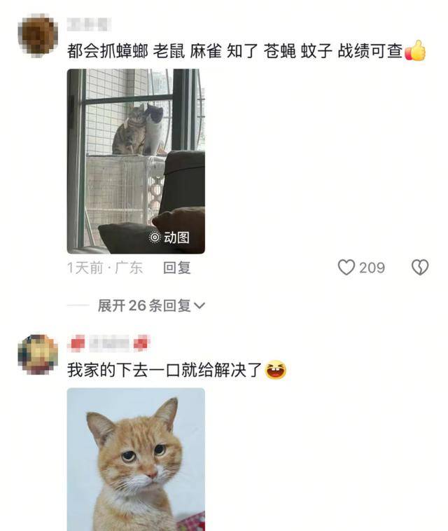 老鼠掉进泳池<strong></p>
<p>烙印币</strong>,广东大叔出动鸡猫狗团队,结果全被老鼠吓跑!网友坐不住纷纷晒战绩