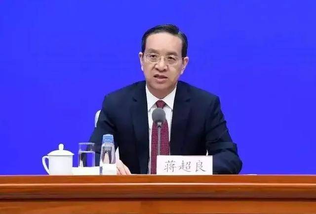 蒋超良<strong></p>
<p>烙印币</strong>,被提请罢免