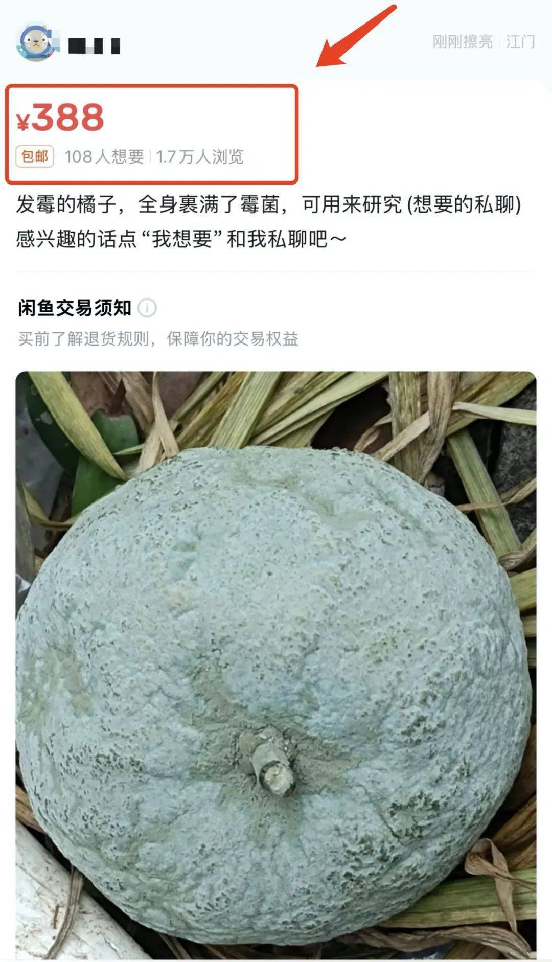 突然火了<strong></p>
<p>名朋圈币</strong>!有人卖500元一个!网友:后悔扔了……