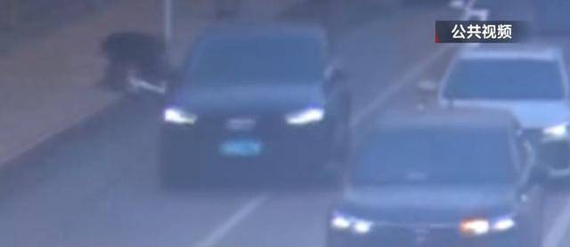 骑自行车碰瓷！北京一六旬男子骗取25人共4.6万余元，法院判了