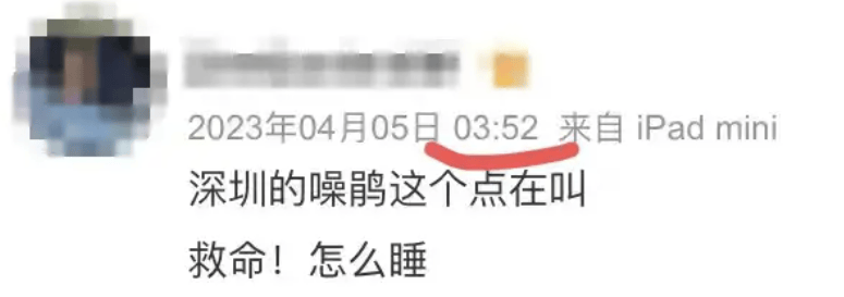 “周末想睡个懒觉都不行”<strong></p>
<p>炒币故事</strong>，有多少深圳人被这种鸟吵到神经衰弱