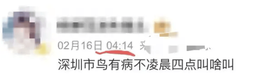 “周末想睡个懒觉都不行”<strong></p>
<p>炒币故事</strong>，有多少深圳人被这种鸟吵到神经衰弱